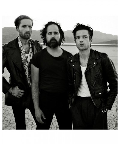 The Killers Desert Photo Poster $4.70 Decor