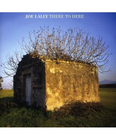 Joe Lally THERE TO HERE CD $5.69 CD