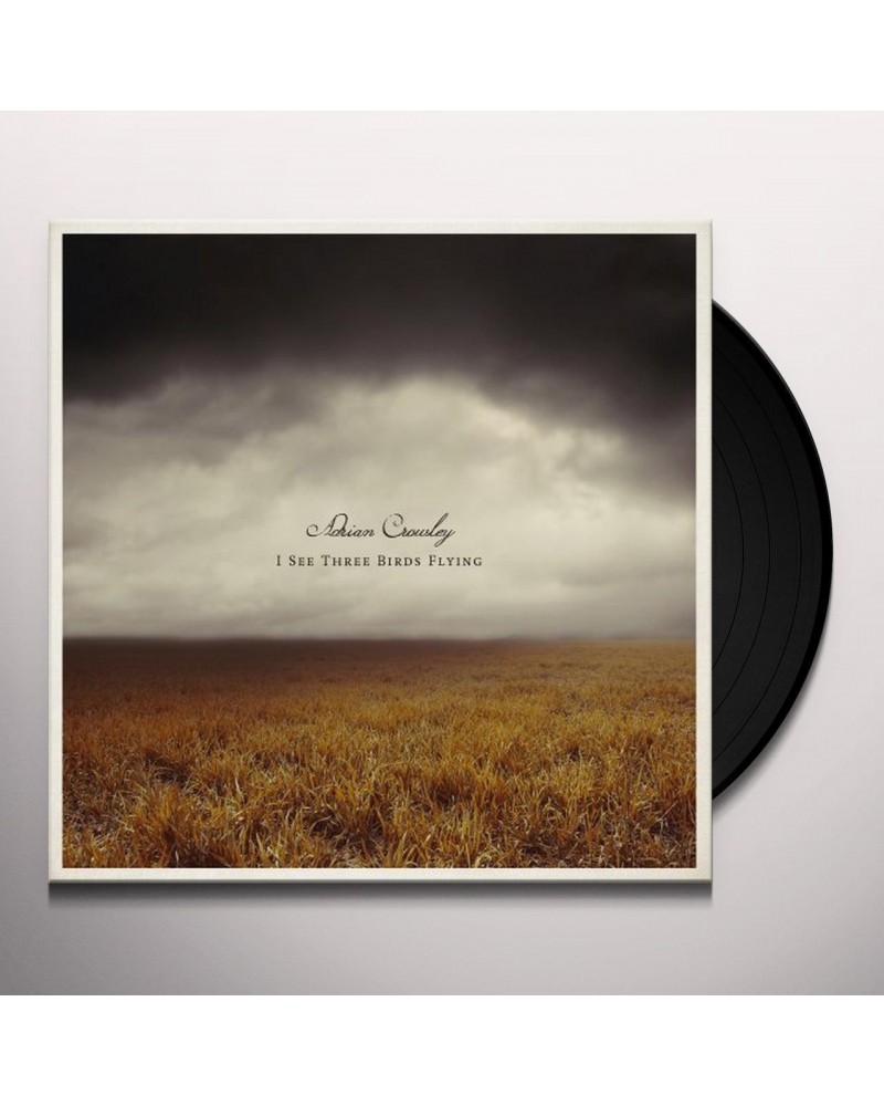 Adrian Crowley I See Three Birds Flying Vinyl Record $11.70 Vinyl