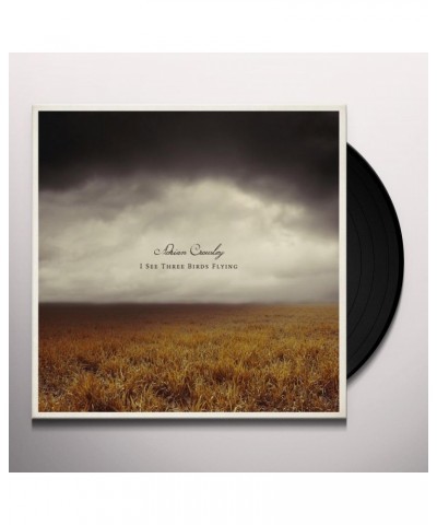 Adrian Crowley I See Three Birds Flying Vinyl Record $11.70 Vinyl