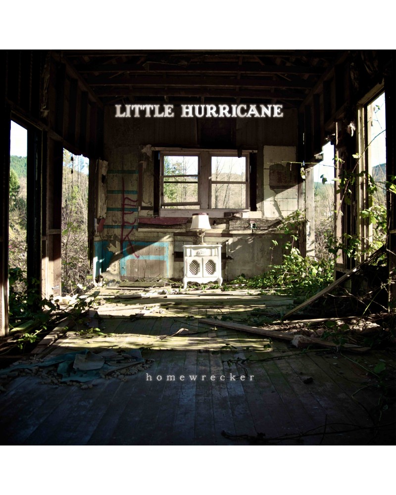 little hurricane Homewrecker Vinyl Record $4.80 Vinyl